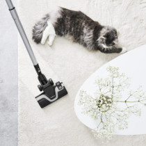 Aspirateur Rowenta Silence Force avec Sac RO7455EA